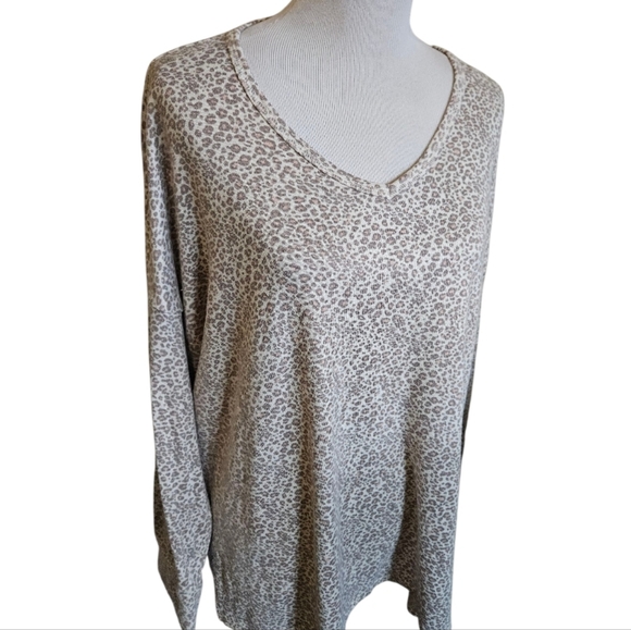 American Eagle Outfitters Tops - Americal Eagle Leopard Print V-Neck Long Sleeve Super Soft Top Size XL